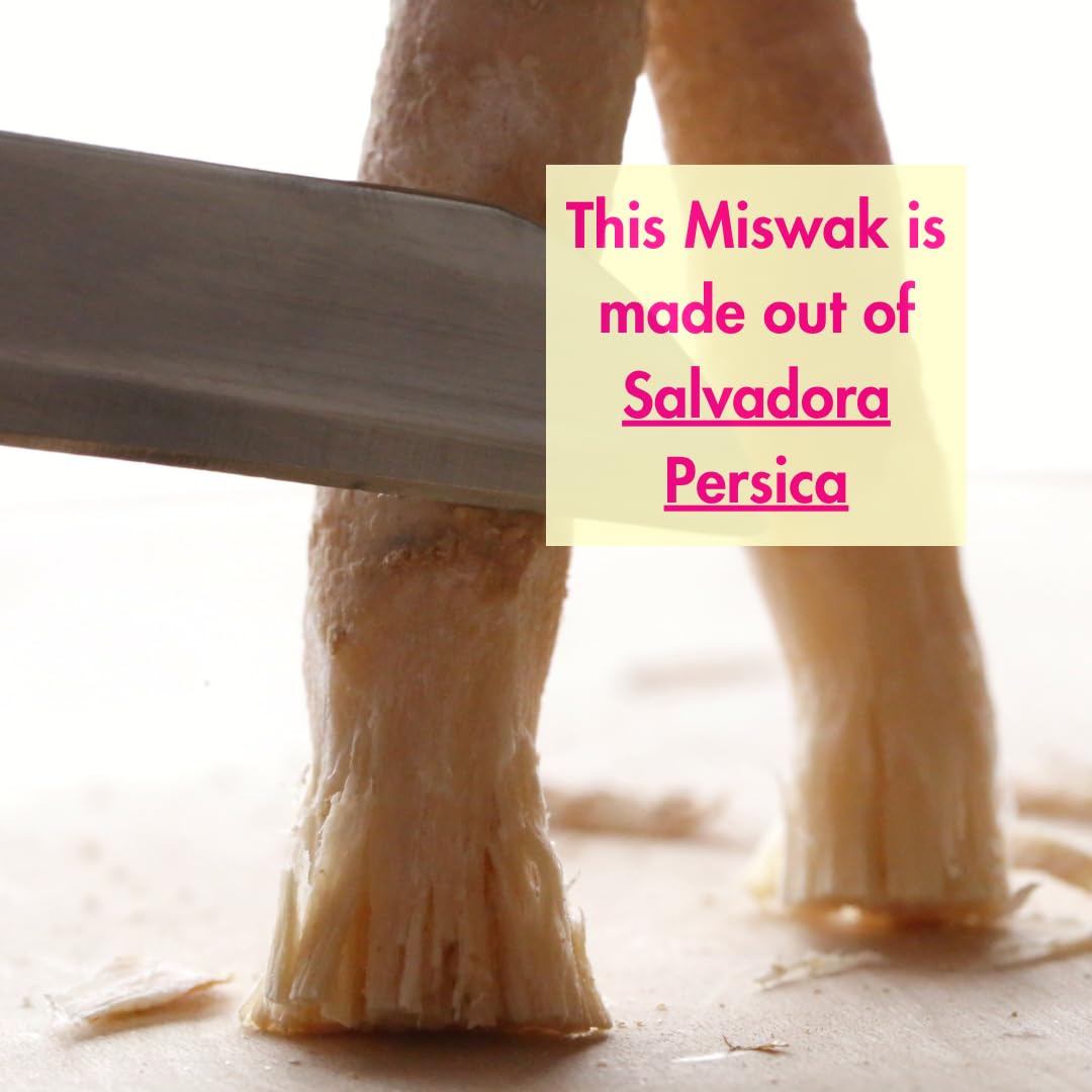 Sadbhavna Natural Miswak Stick | Pack of 10 | Traditional Teeth Cleaning Twig | Organic Toothbrush | Morning Datun - Image 5 thumbnail