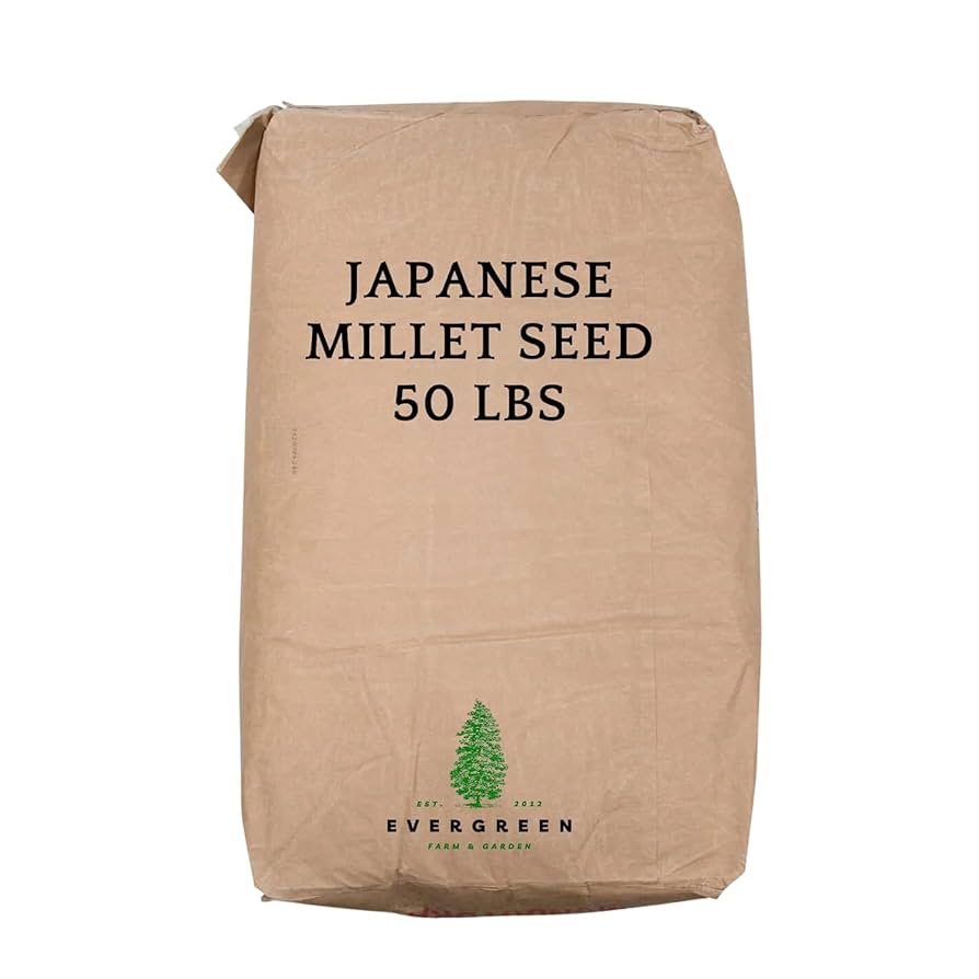 ☆millet☆ Millet (select type) - Stratton Seed Company