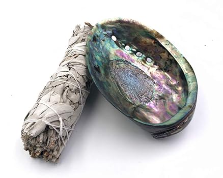 アワビの貝殻 虹色 インテリア 天然装飾品 約22cm×17cm アワビの貝殻 虹色 インテリア 天然装飾品 約22cm×17cm