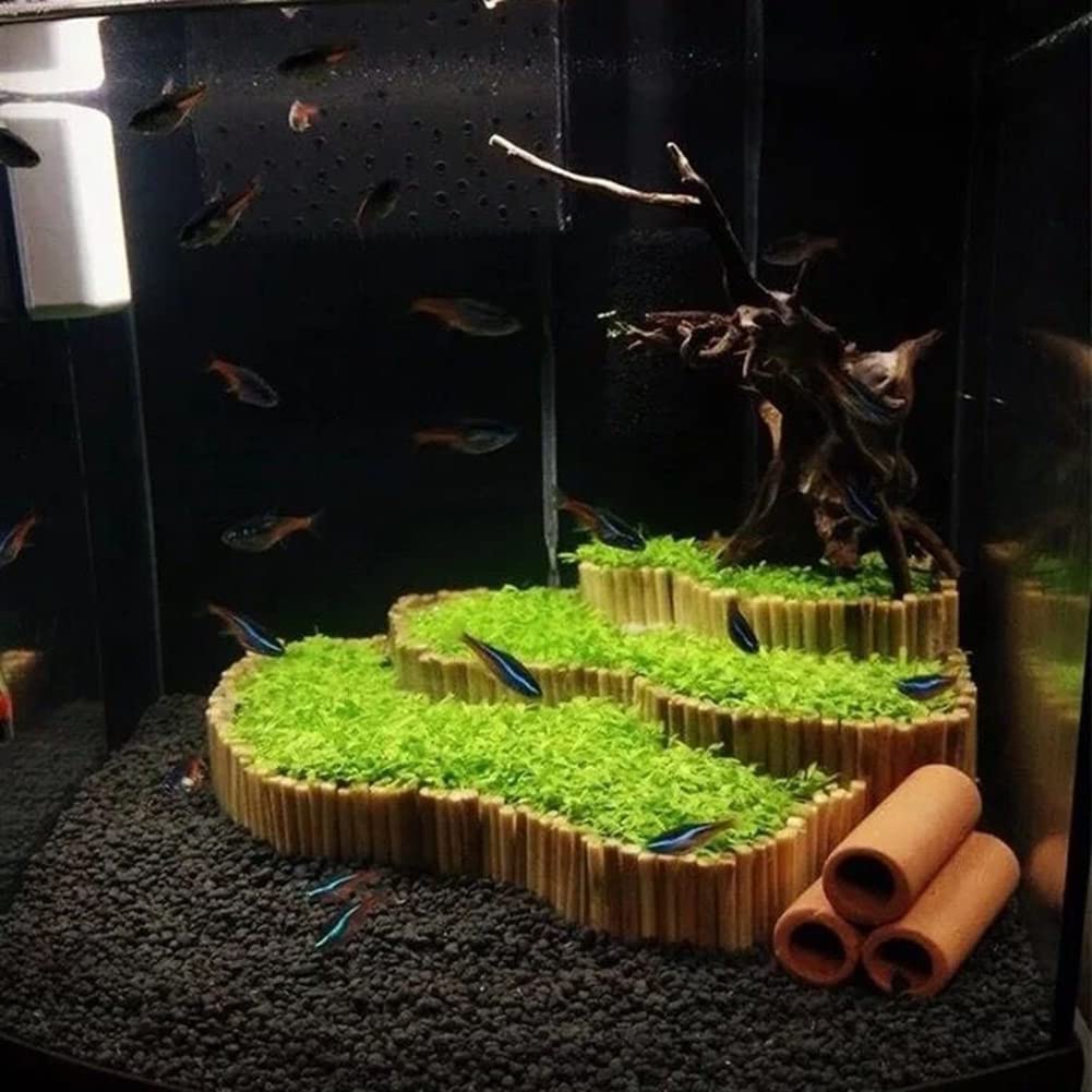 Haloppe 600Pcs Acqua Erba Fiori Piante Semi per la casa Giardino Piantare, Acquatici Acqua Erba Semi di piante Serbatoio di pesce Acquario Paesaggio Decorazione Semi di erba acquatica