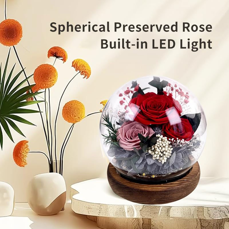 Rosa preservada púrpura con cúpula de vidrio y luz LED miniatura 4