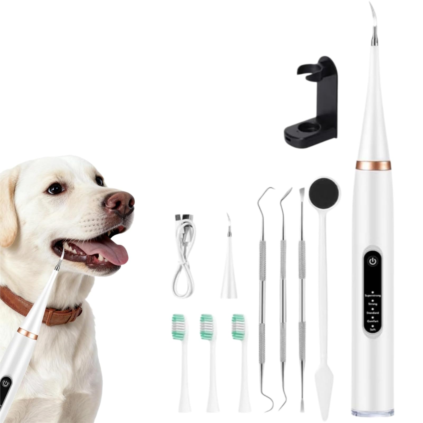 ZampaDent Dispositivo Professionale per la Pulizia Dentale del Cane-Kit Pulizia Denti per Cani e Gatti, 5 Modalità, per Tartaro Dentale, Alito Cattivo, Gengivite (Bianco)