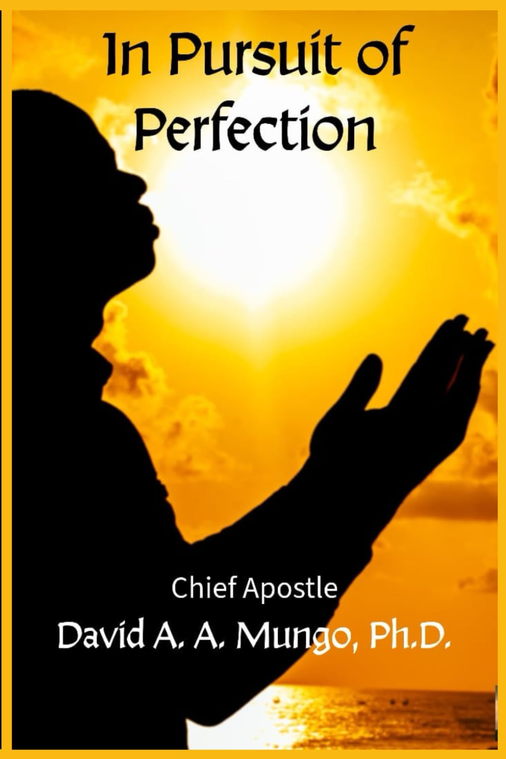 IN PURSUIT OF PERFECTION