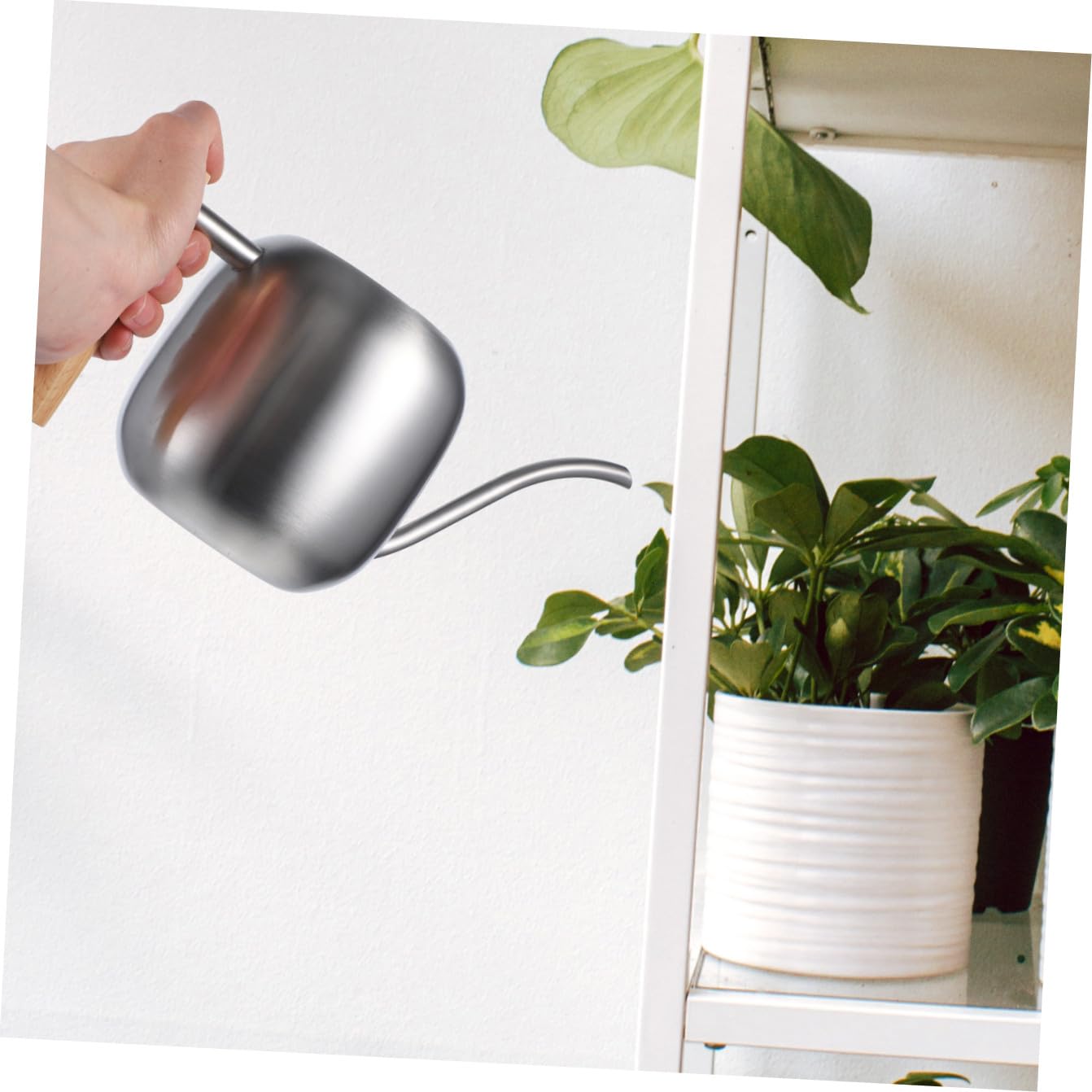 Annaffiatoio per Piante da Bollitore in Acciaio Inox con Impugnatura Ergonomica per Piccoli Spazi E