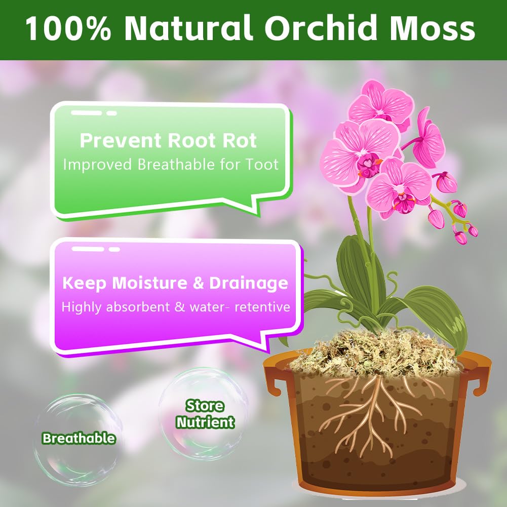 OFFCUP Natural Sphagnum Moss, 150g Dried Forest Moss for Maintain Humidity Terrarium Decor, Orchid Soil Medium - Image 3