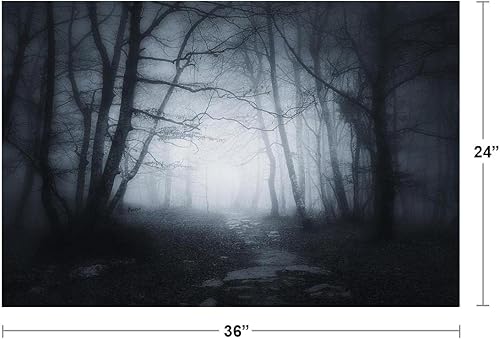 Miniatura 4 de Póster fotográfico en blanco y negro con camino del bosque aterrador en bosques oscuros, naturaleza por la noche, horror para decoración de