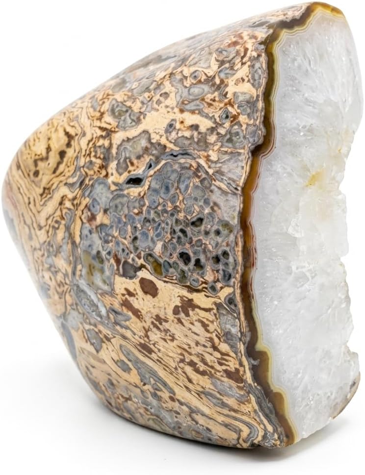 Druzy Geode Petrified Wood: Colorful Agatized Stone, Turkey Sourced