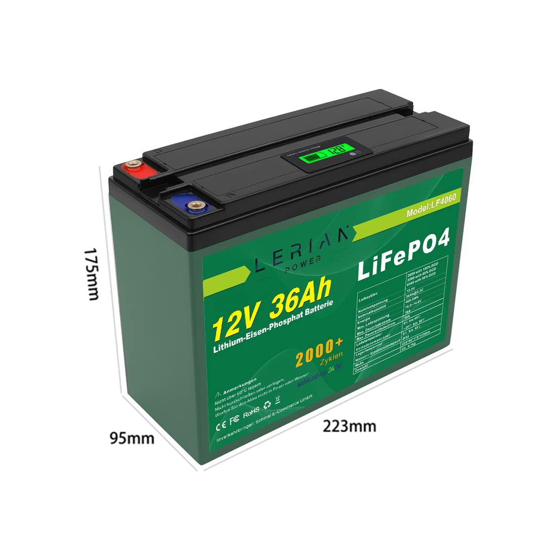 Batterie LiFePO4 12 V 36 Ah au lithium phosphate de fer pour camping bateau caravane solaire