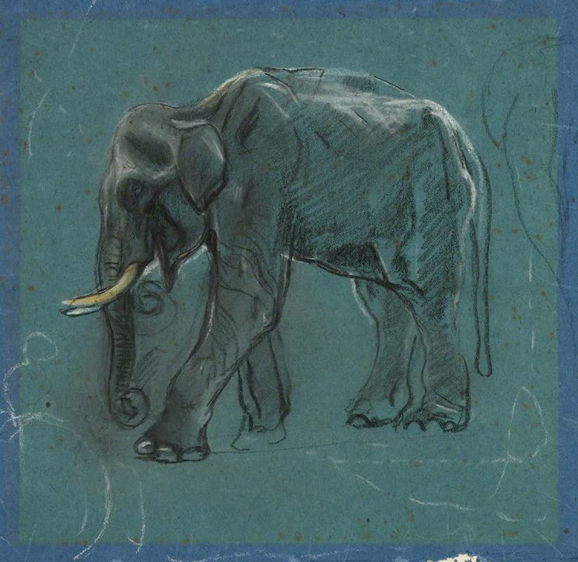 Peinture sur toile Éléphant indien John Swan 58x90cm pour remplacer un mur vide sans âme