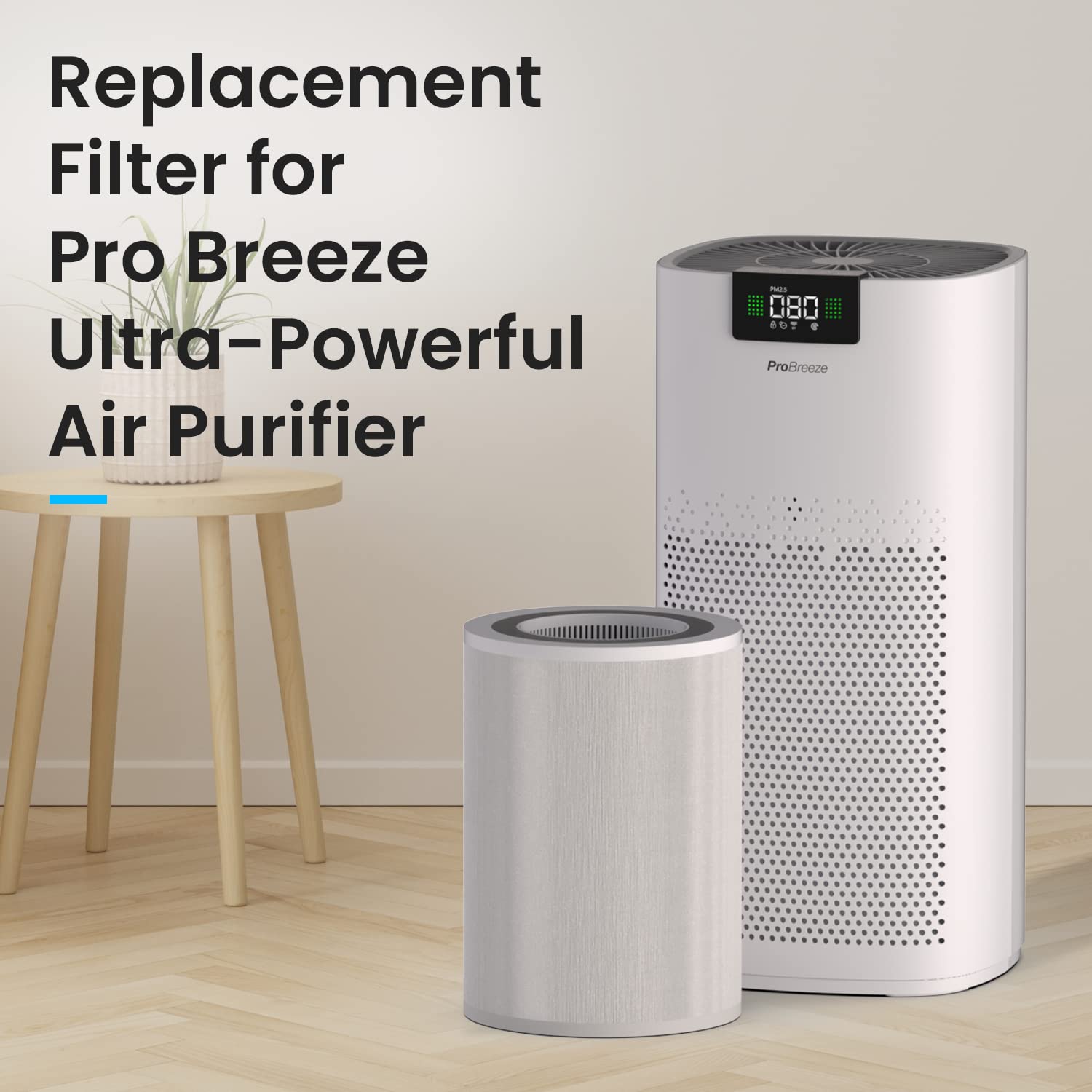Pro Breeze Filtre de Remplacement HEPA 13 pour Purificateur d'Air (PB-P07)
