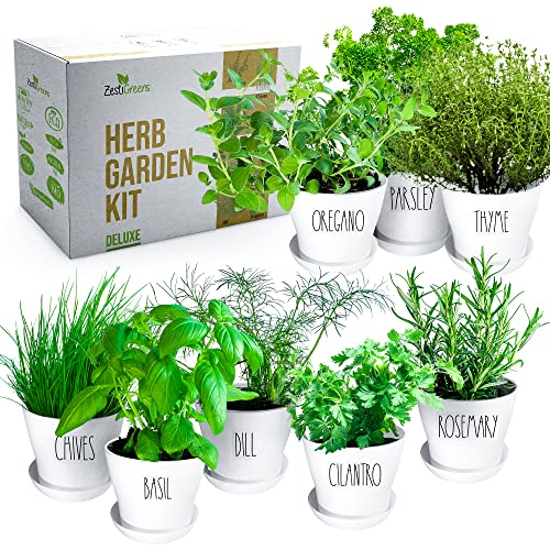 Deluxe Herb Garden Kit – 8 Variety Herbs for Indoor & Outdoor – Get Growing with Pots, Potting Soil, and Detailed Gardening Guide for Window Herb Garden - Ideal DIY Gardening Kit Gift for Women & Men