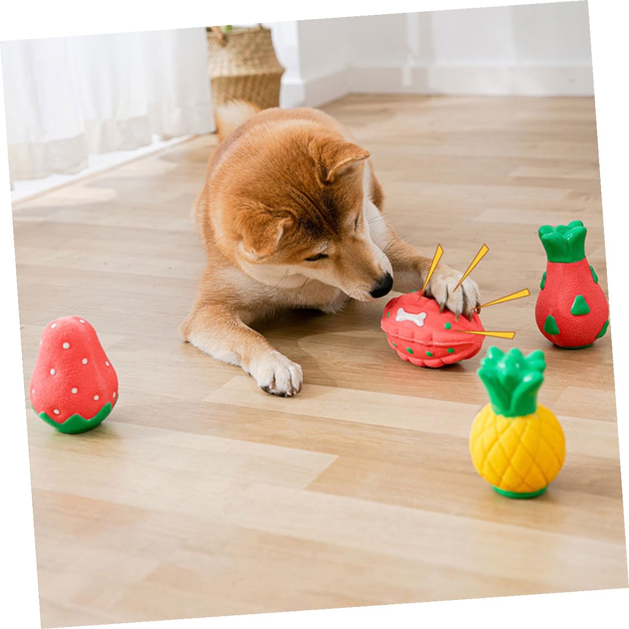 POPETPOP 5stücke Kauspielzeug Für Hunde Langlebigem Interaktives Spielzeug Mit Geräuschen Für Und Kleine Mittelgroße Beschäftigung Und Zahnpflege