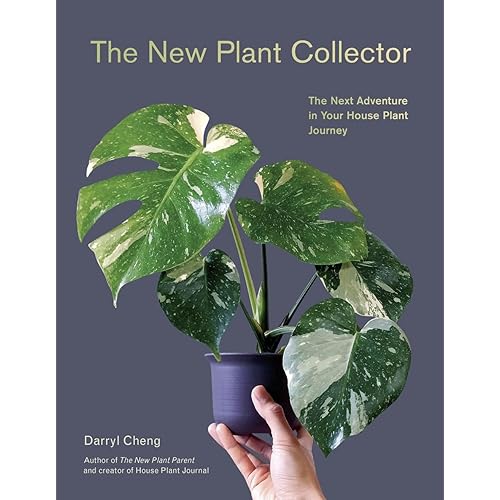 The New Plant Collector: The Next Adventure in Your House Plant Journey