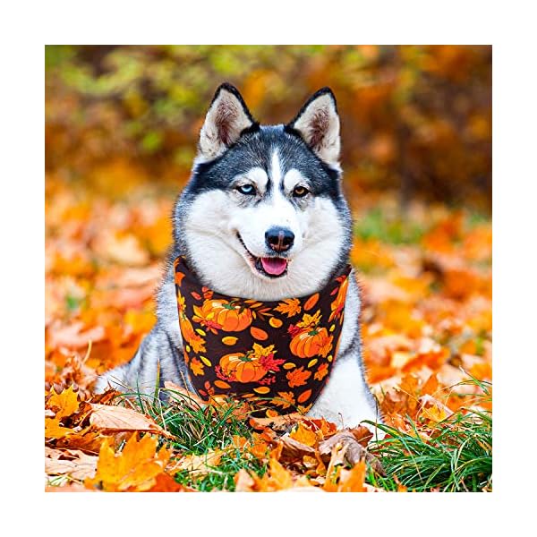 Whaline 4 pack autumn dog bandanas reversible halloween fall triangle bibs pumpkin ghost bat pet scarf washable cotton pet neckerchief for medium large pets cats dogs - image 4
