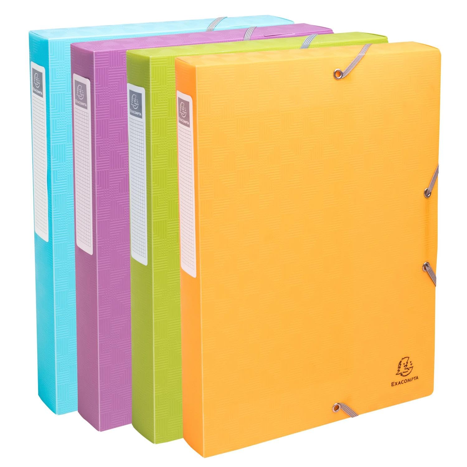 Exacompta 8 scatole archivio PP Pop'N Co con elastici A4 dorso 4 cm