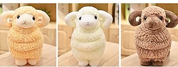 61Lm5bF6hLL._AC_UF350,