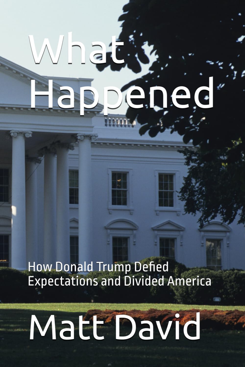 What Happened: How Donald Trump Defied Expectations and Divided America