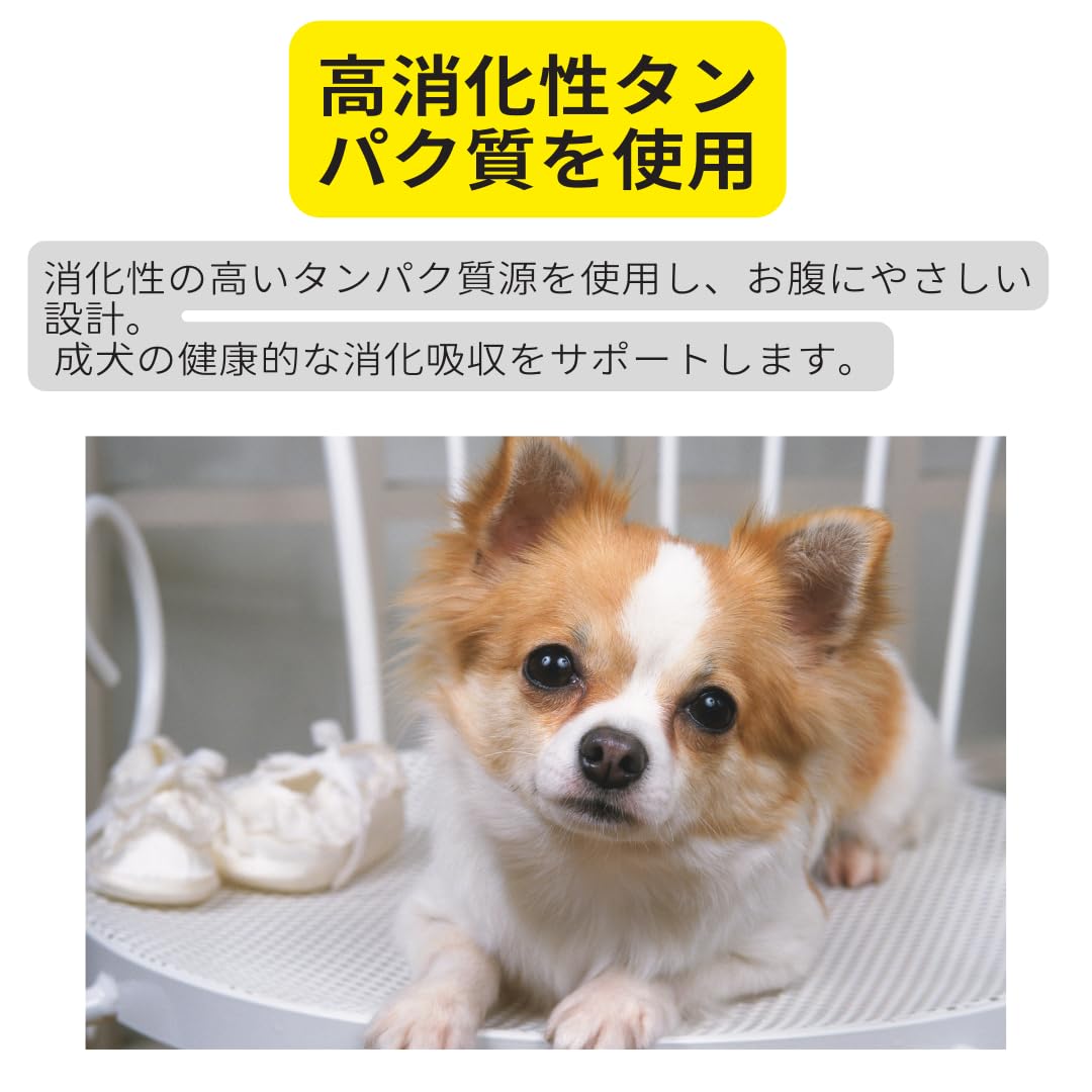 Amazon.co.jp: 生後8ヶ月以上 チワワ専用 3kg 小型犬用ドッグフード 成