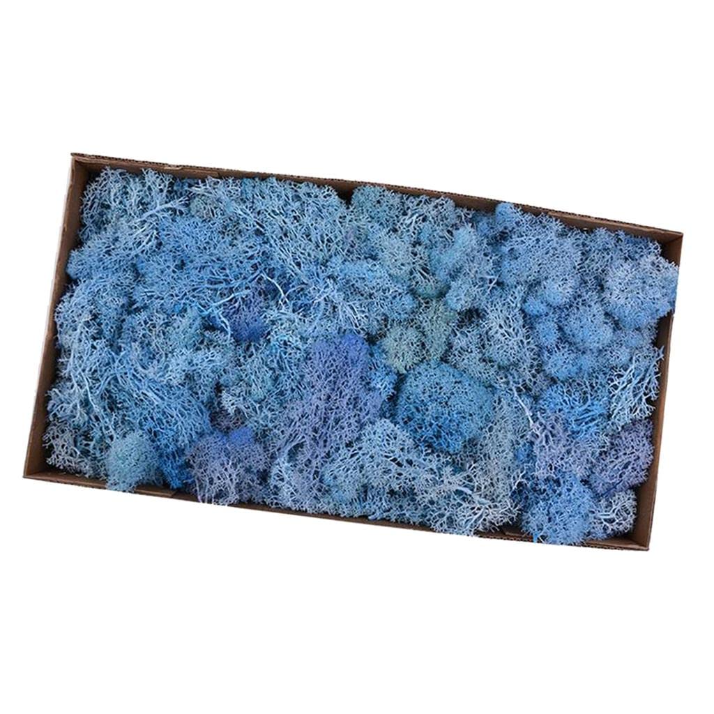 Reindeer Fiore Artificiale Fiore Preservato Fiore Secco Fiore Liner Muschio Naturale Stabilizzato con Adatto per Decorazione Domestica, Blu