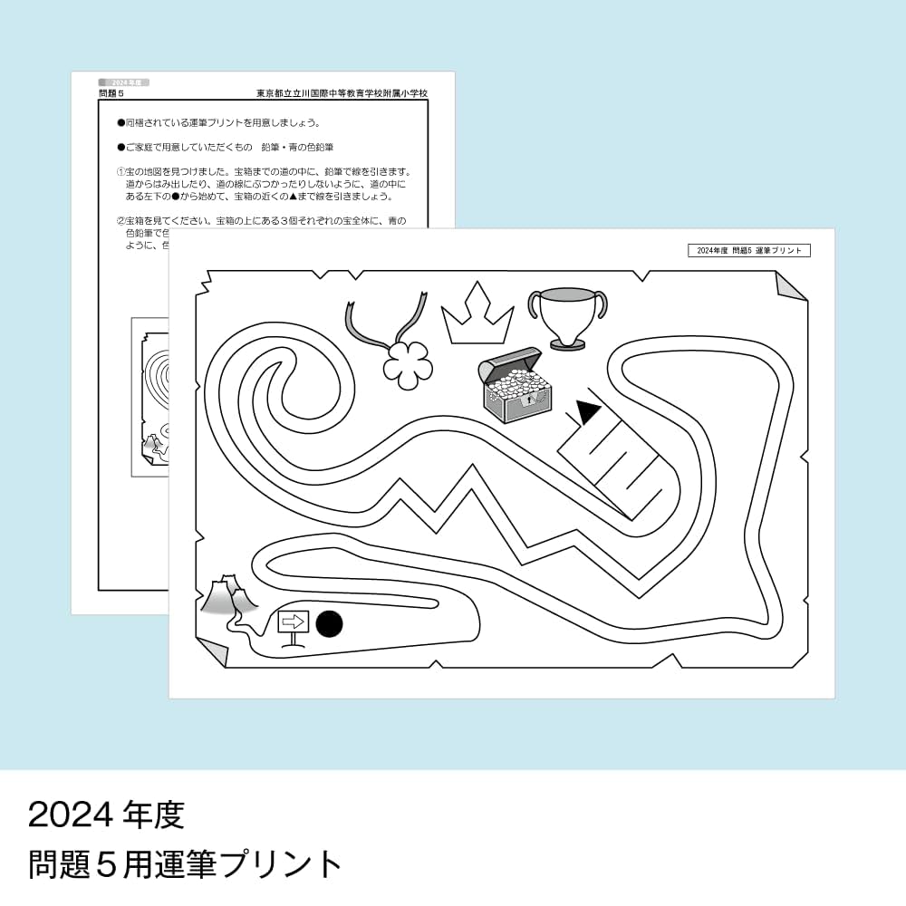 13そっくり問題集 東京都立立川国際中等教育学校附属小学校