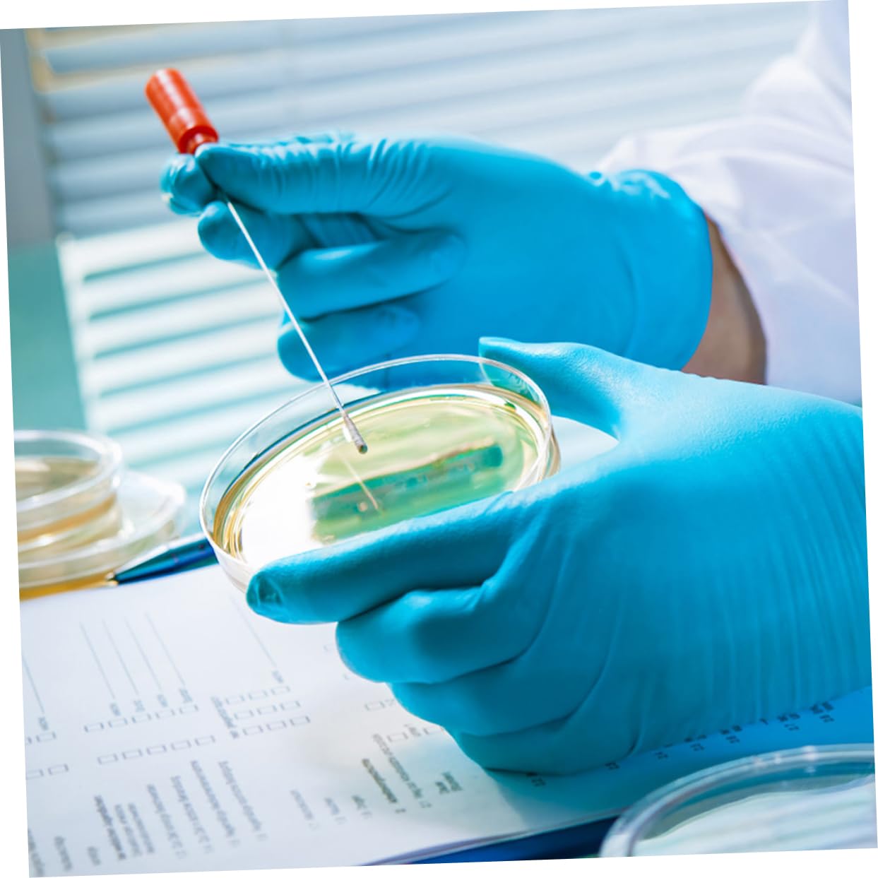 Mobestech 50pezzi Piastre Di Coltura Plastica Con Coperchio Piastre Petri Trasparenti Per Esperimenti Scientifici e Coltura Cellulare Per Laboratori e Insegnamento
