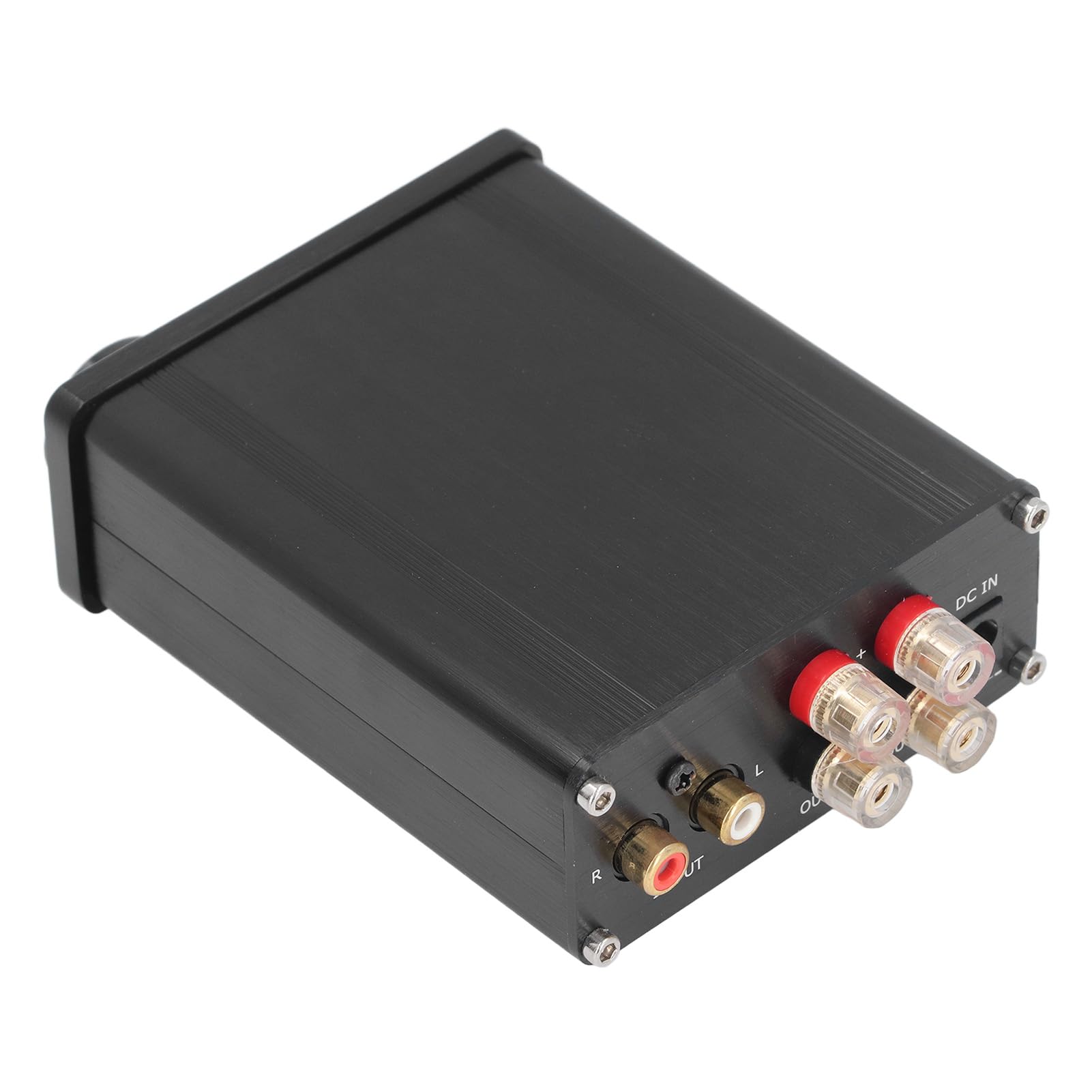 Emoshayoga Amplificatore di Potenza Digitale Amplificatore Stereo Ad Alta Potenza di Classe D di Grande per Home Theater 100 W X 2 in Lega di Alluminio