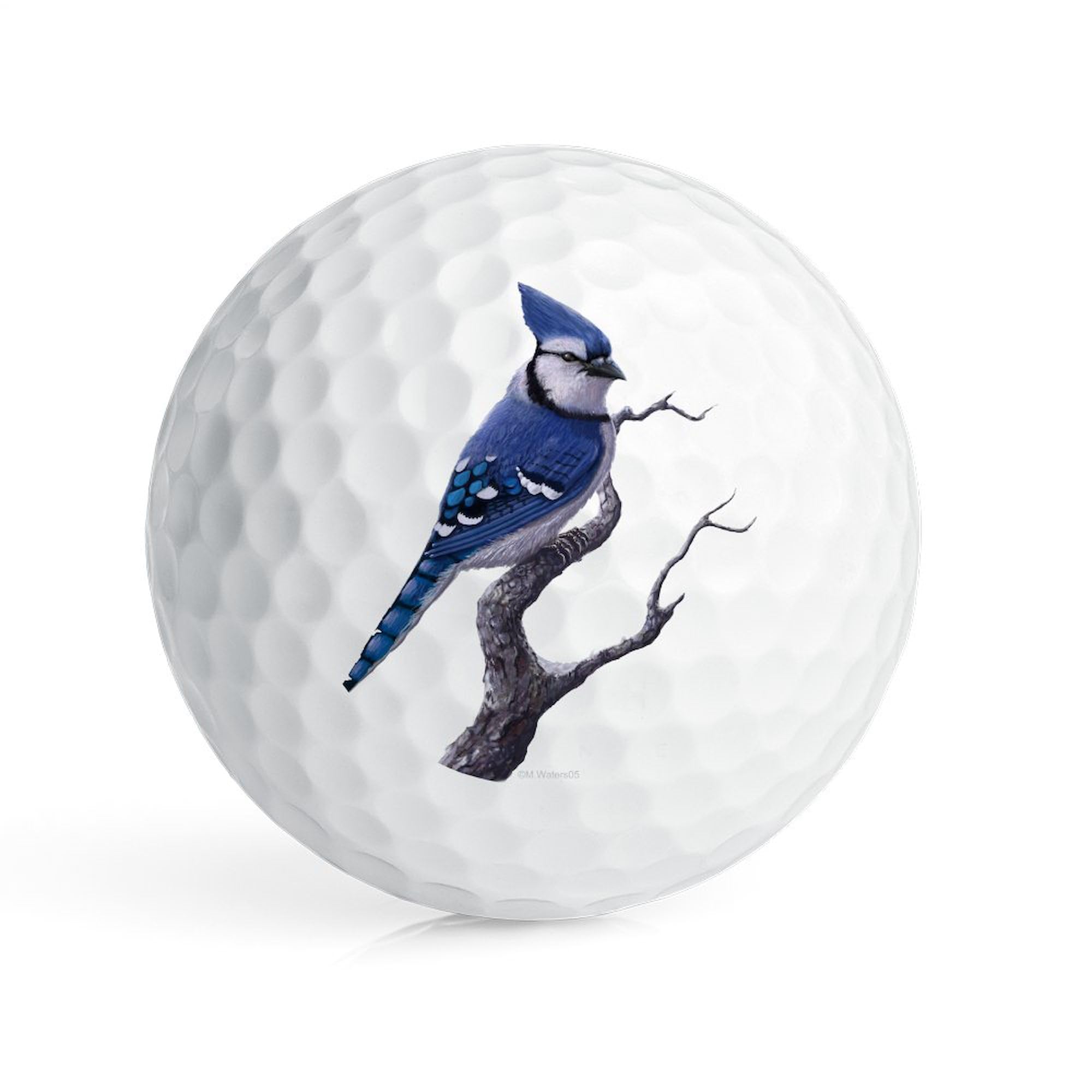 CafePress Blue Jay Bird Novelty Golf Balls (Pk of 6)