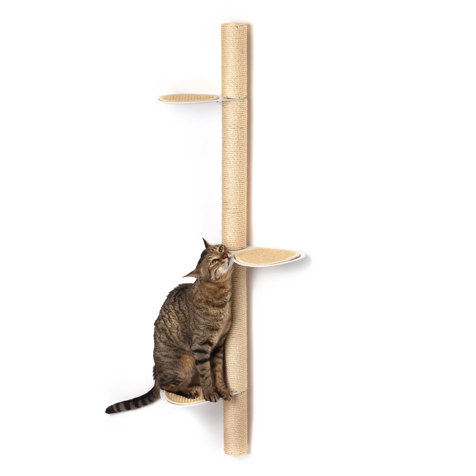 xympo 51" Wall-Mounted Cat Tree – Modern Space-Saving Cat Shelf with Sisal Scratching Post & Steel Climbing Steps – Stylish Cat Wall Furniture for Small Spaces