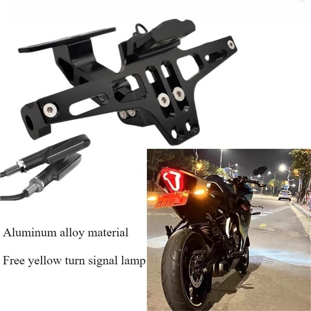 Portatarga Moto coda Corta targa posteriore telaio modificato staffa da competizione indicatore di direzione Per Haojue DR 300 DR300/160/150