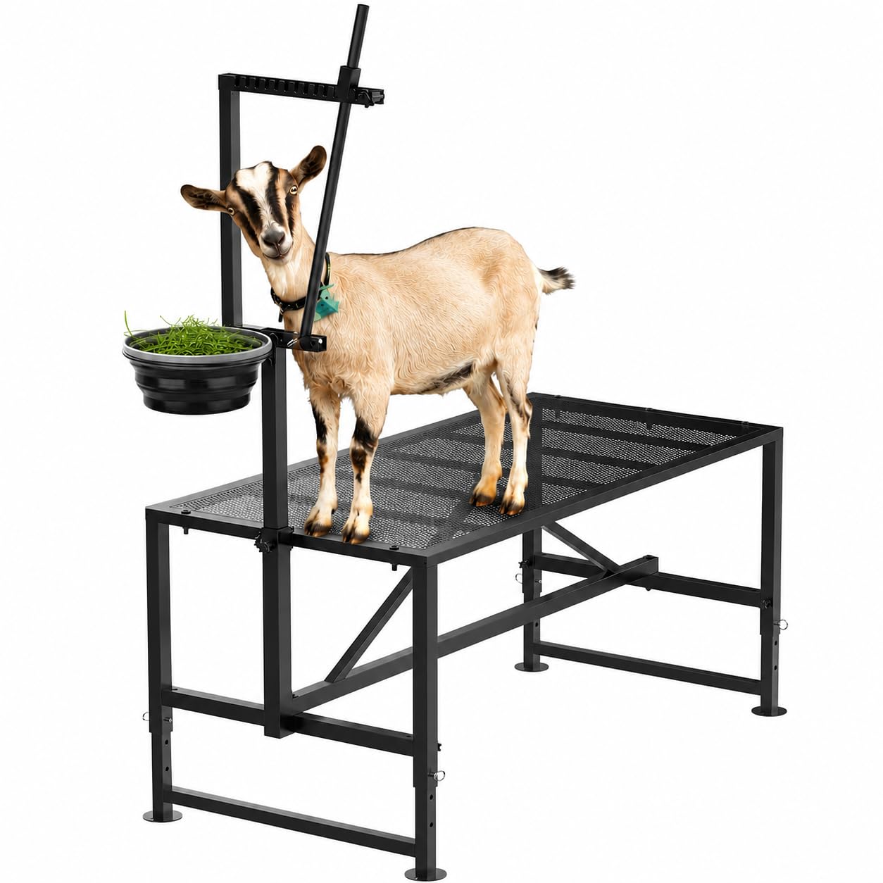 Larrik Goat Stand with Feed Bin, 400LBs Sturdy Steel Table