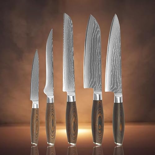 Vg10 - Juego de cuchillos de cocina de 5 piezas de calidad premium, juego de cuchillos de chef de acero Damasco de 67 capas con asas de madera,