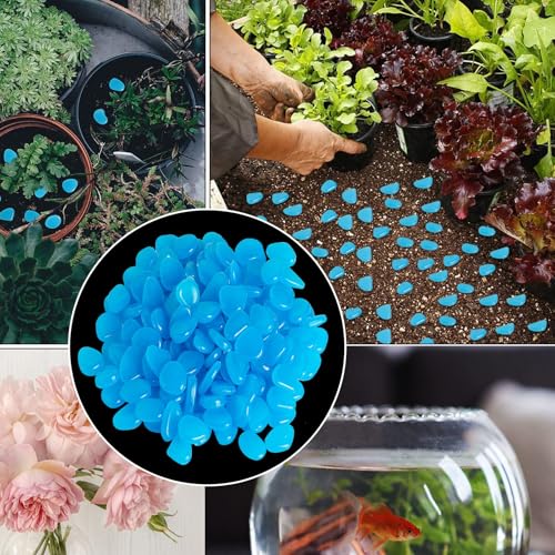 Teouuas 400 Stück Leuchtsteine, Leuchtet im Dunkeln Kieselsteine, Blau Fluoreszierende Steine, Leuchtende Steine Garten für Garten, Aquarium, Gehweg, Terrasse, Rasenflächen, Kinderzimmer