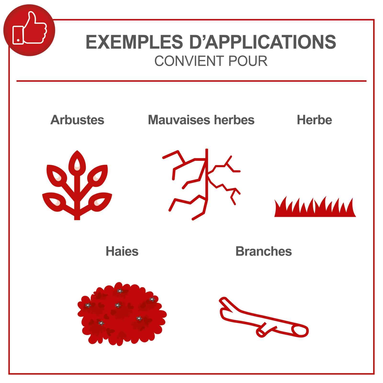 Scheppach Débroussailleuse Thermique MFH5200-4P | Rotofil | Moteur 2T de 51,7cm3 | 4en1 Débroussailleuse, Coupe-Bordure, Taille-Haie, Elagueuse | Tap'n'go | avec Attache Rapide et Sangle
