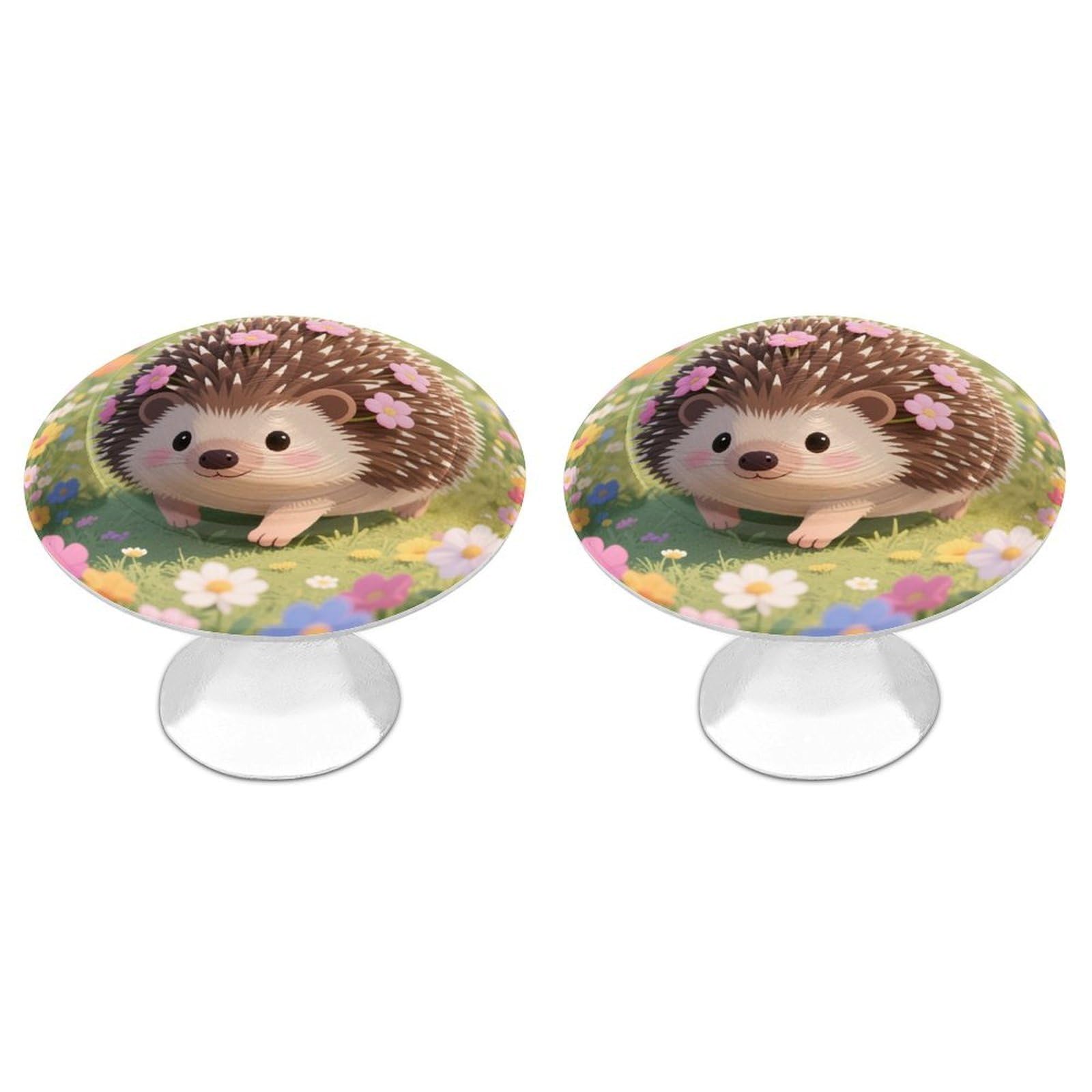 DWVTSLH Floral Hedgehog Cabinet Handles 2 Pack Stainless Steel Kitchen Drawer Pulls with Installation Screws Round Dresser Drawer Knobs 1.1 Inch Modern Cabinet Hardware Door Handles
