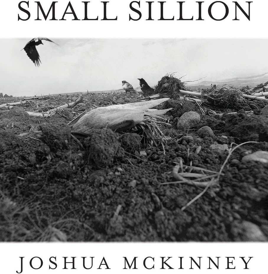 Small Sillion (Free Verse Editions)