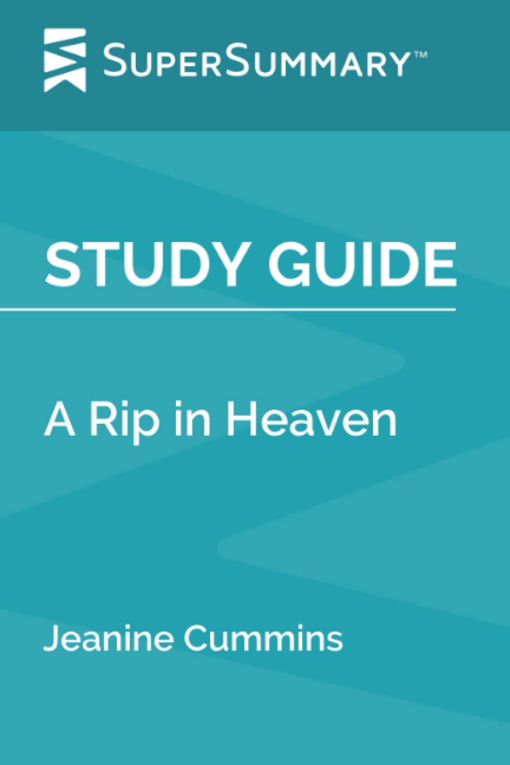 Study Guide: A Rip in Heaven by Jeanine Cummins (SuperSummary)