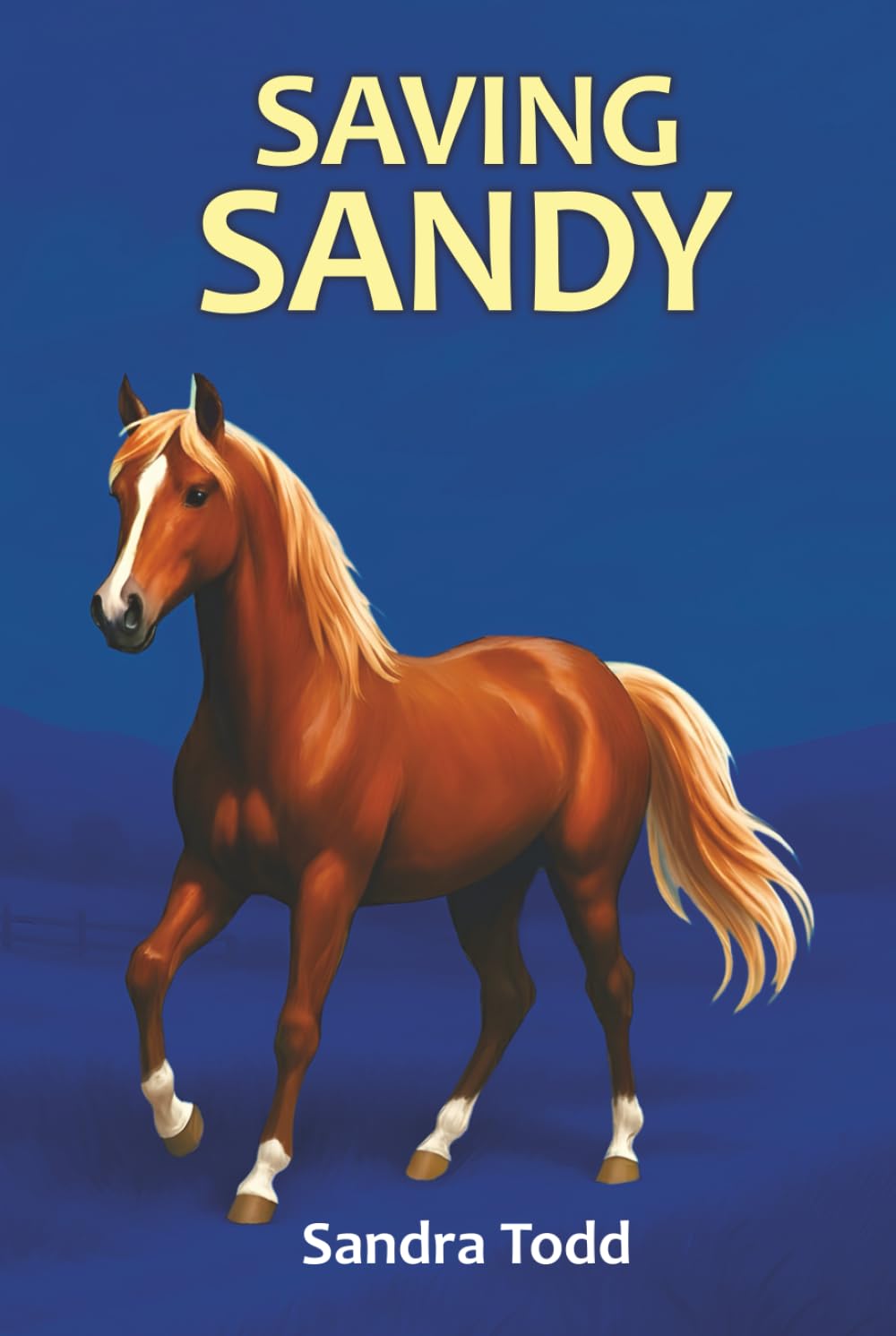 SAVING SANDY