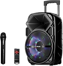 portable speaker with microphone set