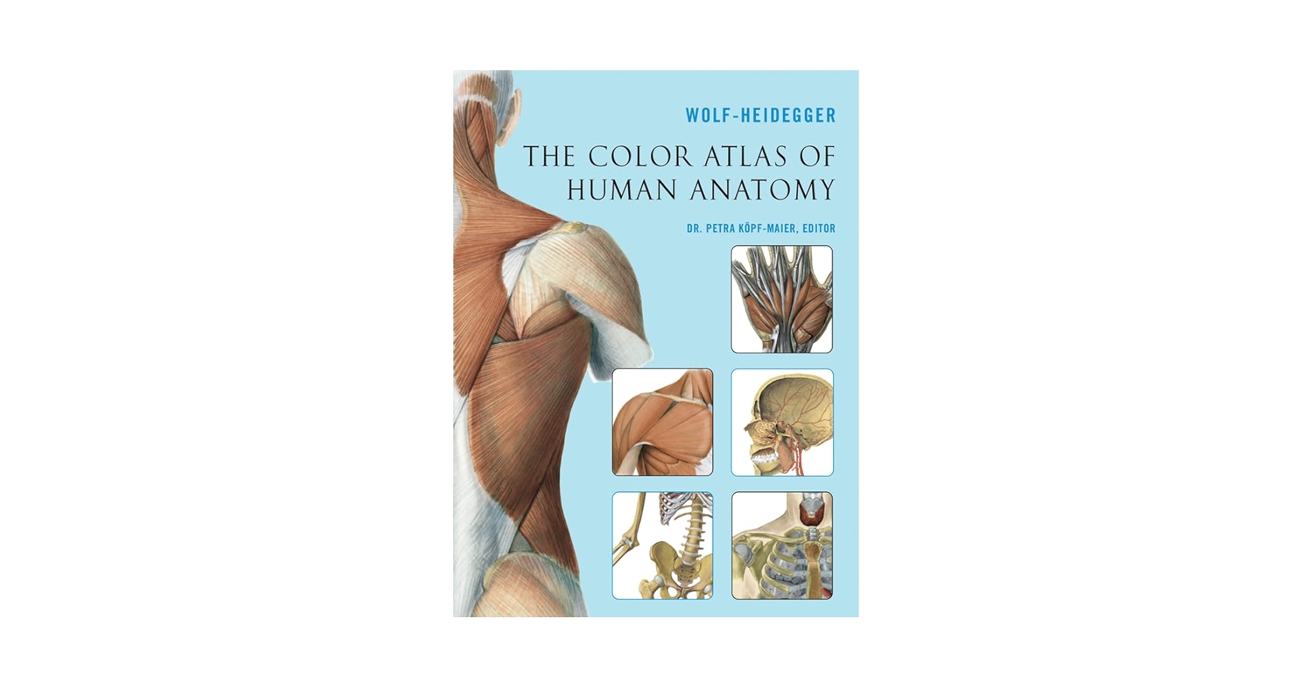 The Color Atlas of Human Anatomy: Wolf-Heidegger, Köpf-Maier
