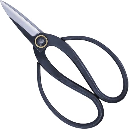Ciseaux Bonsaï Twig 21 cm Bairyu Fabriqué au Japon | Online