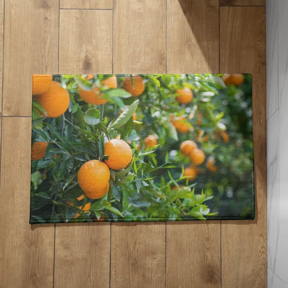 Paillasson Attrape Poussiere Lavable Grand Tapis Cuisine 50x80cm