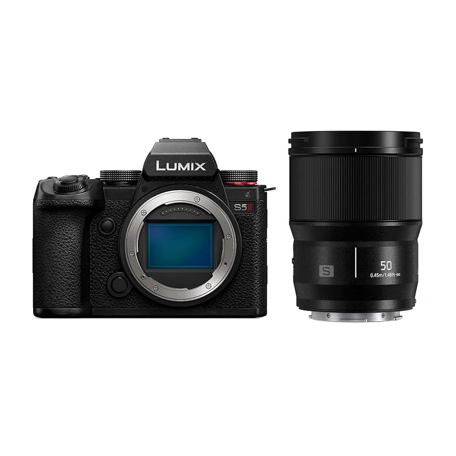Panasonic LUMIX S5ii DC-S5M2 ☆付属品有 Panasonic LUMIX S5II DC-S5M2の出品 | ONE SCENE（ワンシーン）