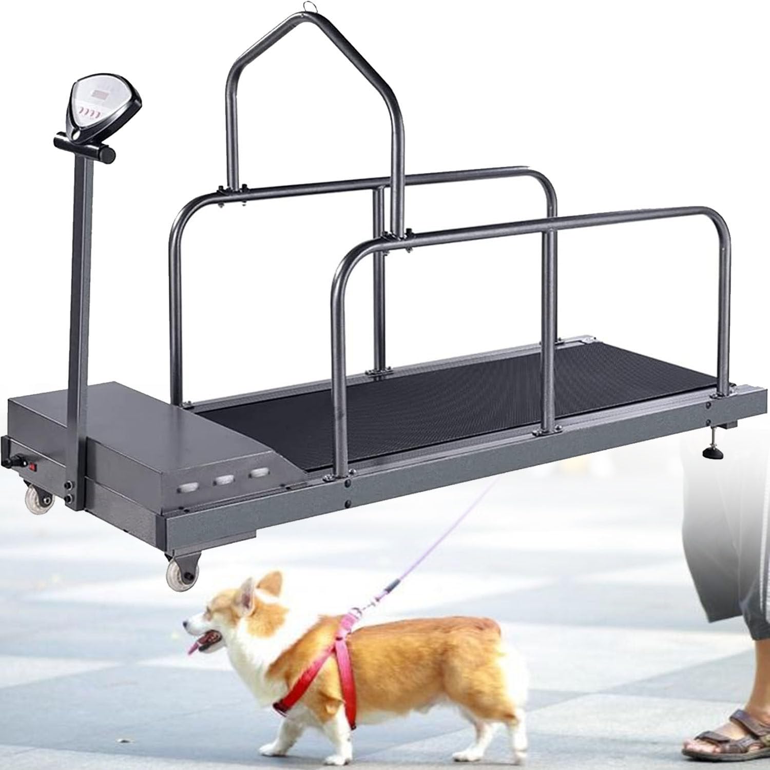 Cinta de Correr para Perros Grandes y medianos, Equipo de Ejercicio para Mascotas, con Pantalla LCD, Velocidad de 0,8 a 12 km/h, para Entrenamiento en Interiores y Exteriores A