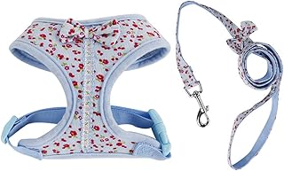 Inzopo GÃ©nÃ©rique Soft Harness and Lead with Flower Design for Small Dog Puppy blue M