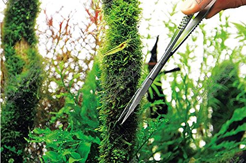 6"/15cm Aquarium CoolN Stainless Steel Plant Trim Sharp Curve Spring Scissors