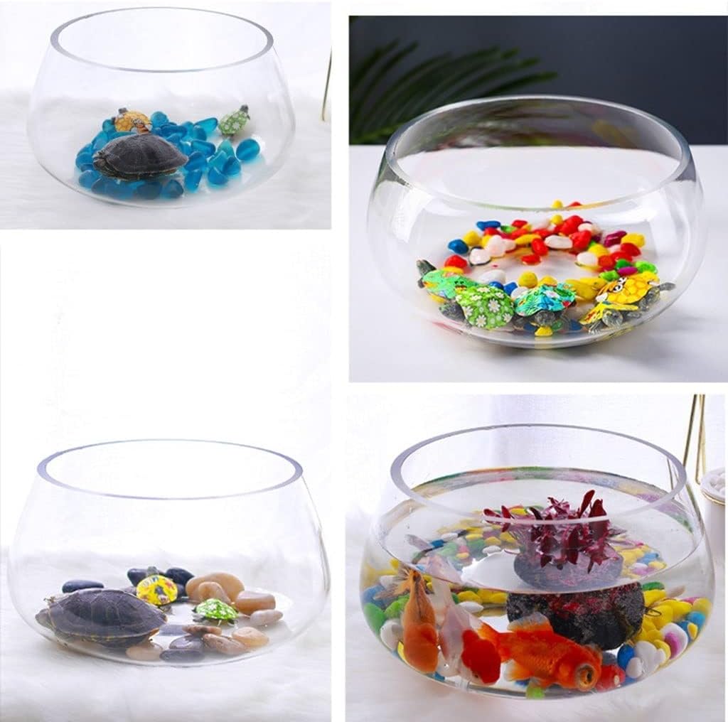 Fish Tank Desktop Transparent Glass Goldfish Tank Decorative Fish Tank with Base Small Turtle Fish Tank Office Home Aquarium Glass Fish Tank