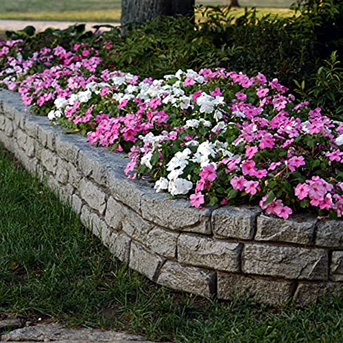 RTS Home Accents Rock Lock Interlocking Landscape Edging and Border System, Curved Section With Spikes, 2.5 Feet Long (Pack of 2)