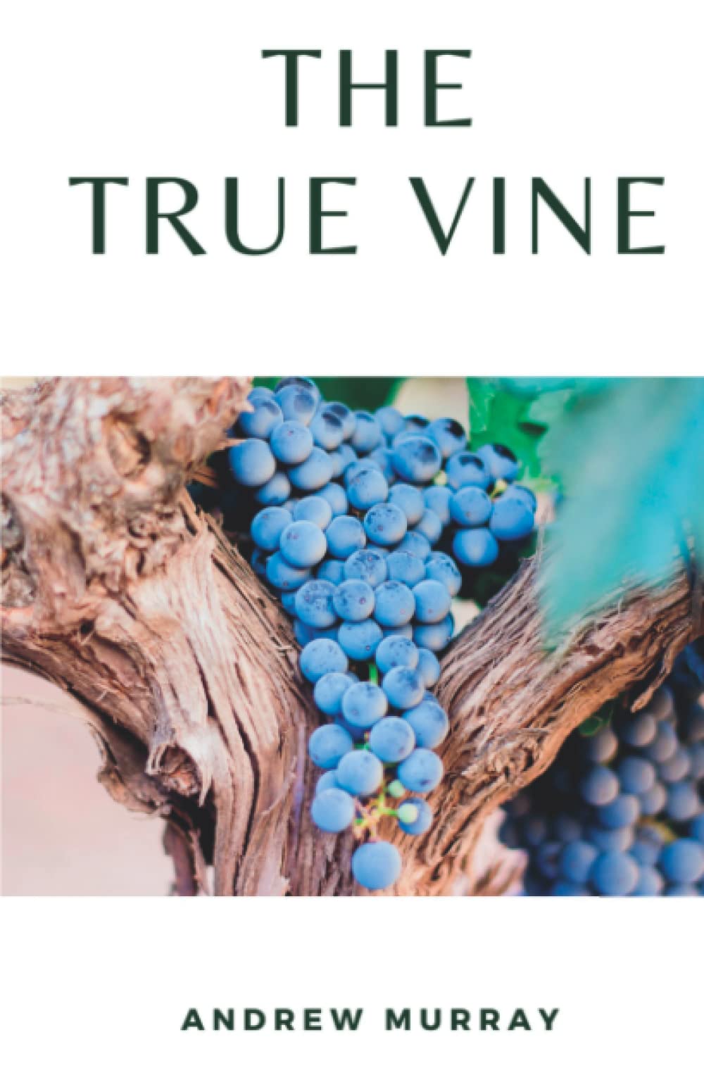 The True Vine: (Annotated)