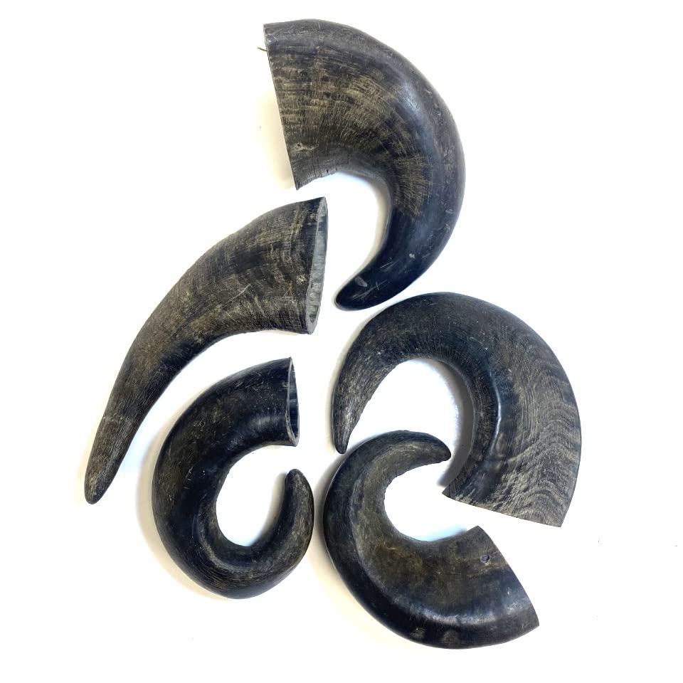 Maltbys Stores 5x Medium Buffalo Horns 100% Natural Dog Treats Chews