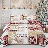 Xruibed Weihnachts-Steppdecken-Set für Queen-Size-Betten, Patchwork-Muster, Jingle Bells Elche, Tagesdecke mit 2 Kissenbezügen, leicht, Weihnachts-Bettwäsche-Set für Kinder, Teenager, Erwachsene,